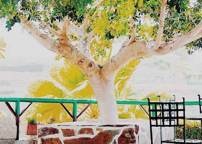 Casa Zocas بيت للعطل *