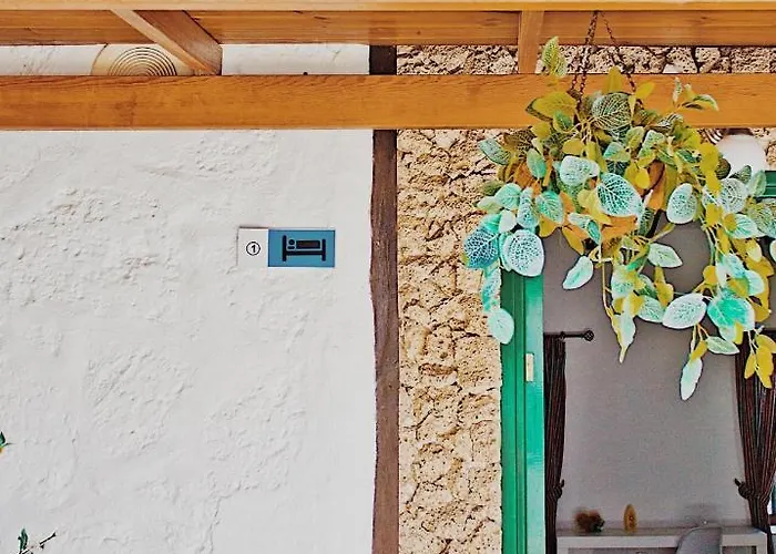 Casa Zocas * San Miguel de Abona